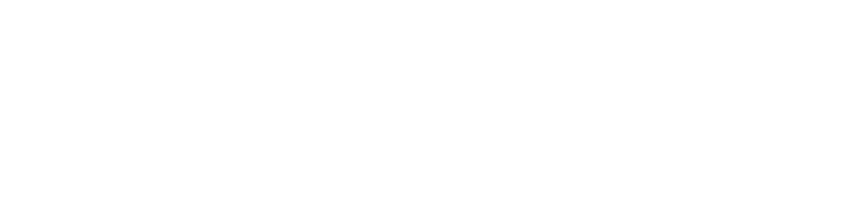 נאוה קולאז’ - בית הספר למקצועות היופי לוגו לבן